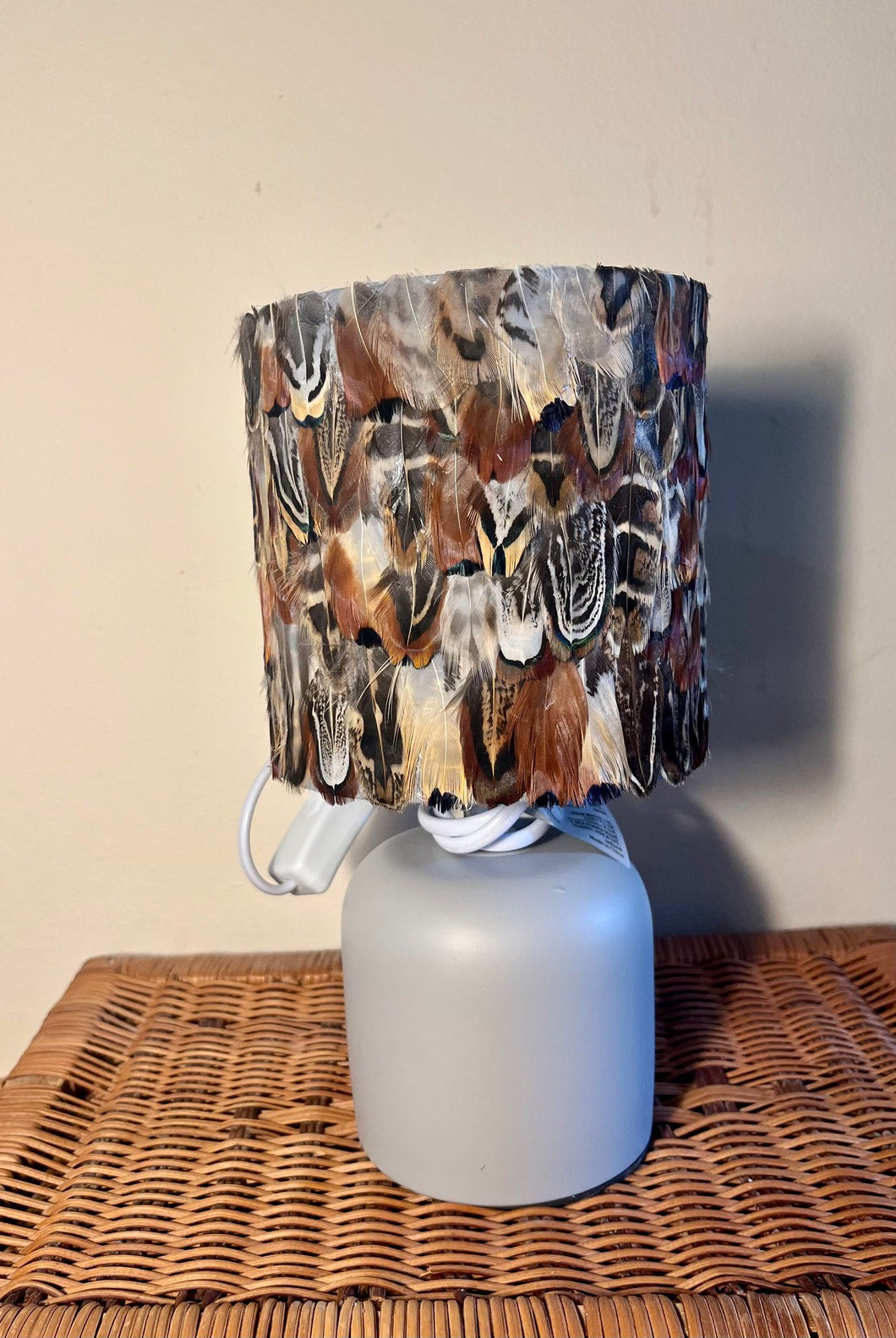 Mixed Pheasant Feather Lamp