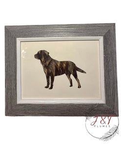 Labrador Photo Frame